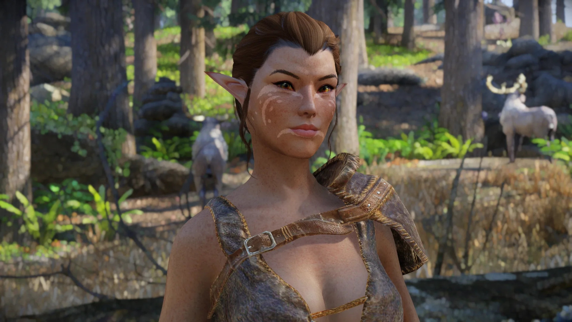 Skyrim, DLSS 5를 적용하지 않은 원본 프레임